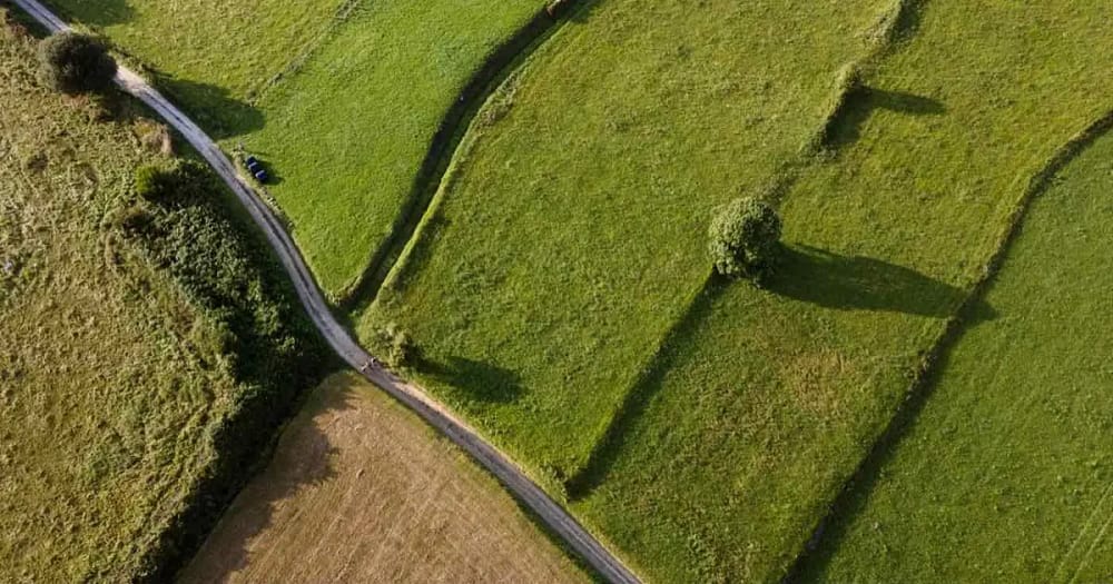 Investir 200 000€ : vue aérienne de parcelles agricoles traversées par un chemin de campagne